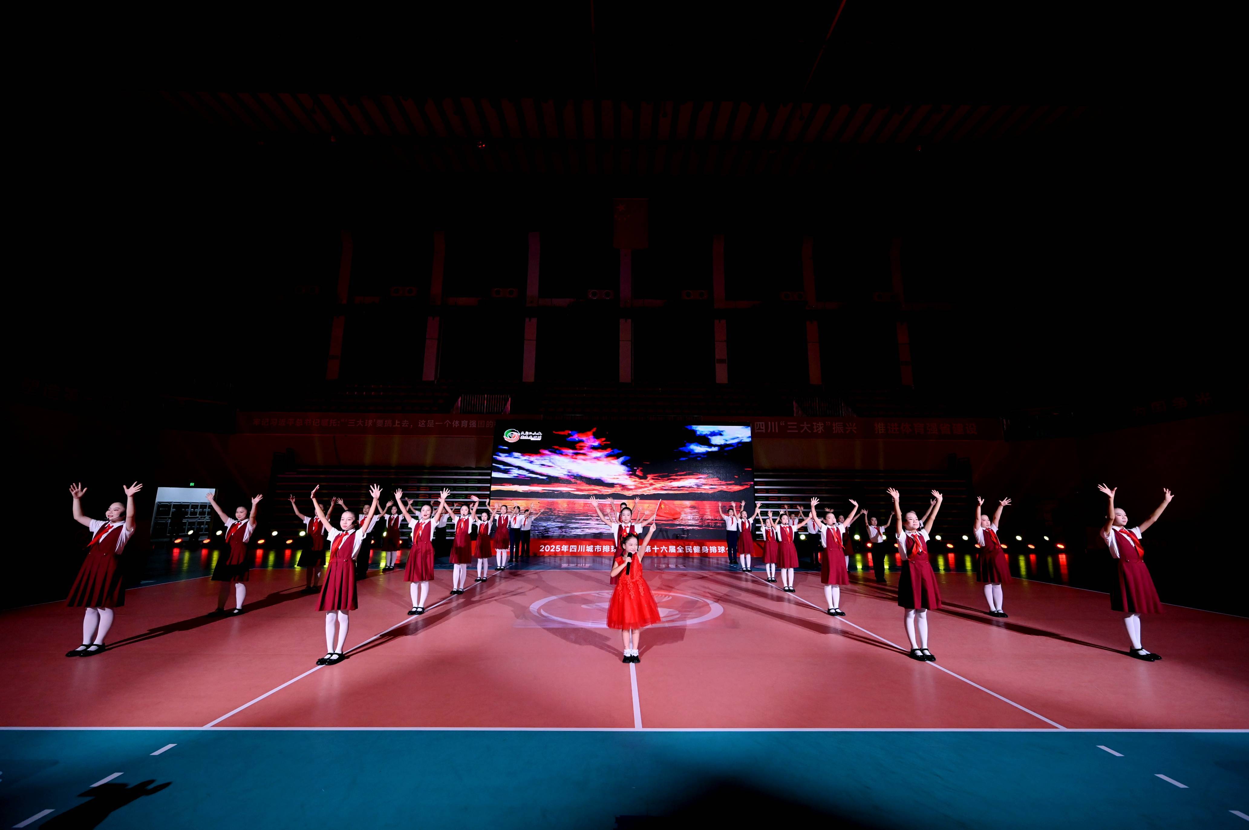 世界赛舞台，排球代表国家出征荣耀的简单介绍