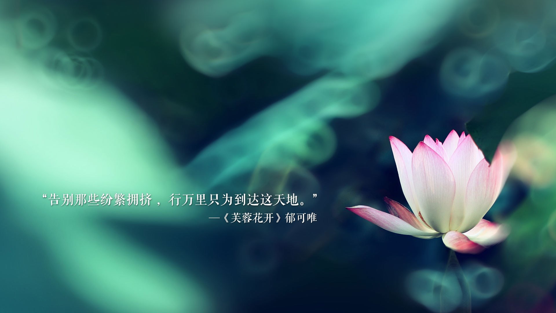 跨洋战神！恩比德50分统治东方试炼，国王争冠战险胜上海队