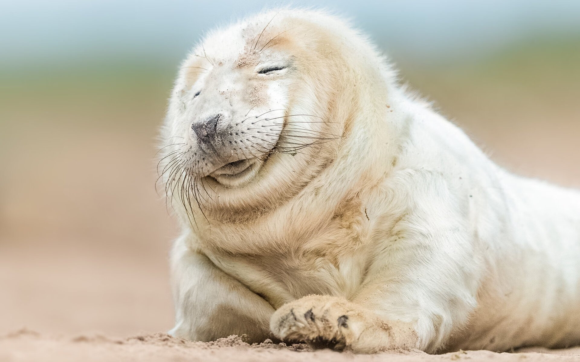 时光裂隙中的巨兽，当约基奇的哲学撕裂绿军铁壁—记一场跨越时空的马刺绿军之战