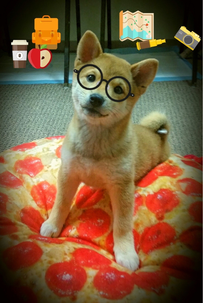 节奏为王，当西亚卡姆的掌控哲学照进德甲争冠夜