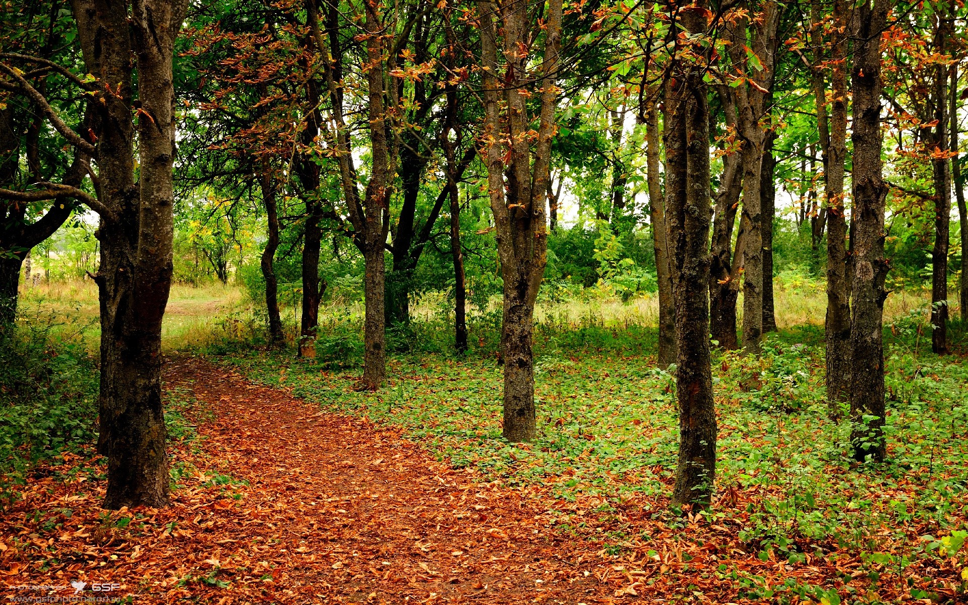 平行时空,米切尔空降芝加哥!死亡隔扣+末节20分正面击溃哈利伯顿