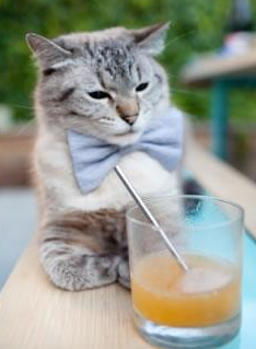 从憨憨到英雄,欧冠之夜卢卡库打破心魔的救赎之路