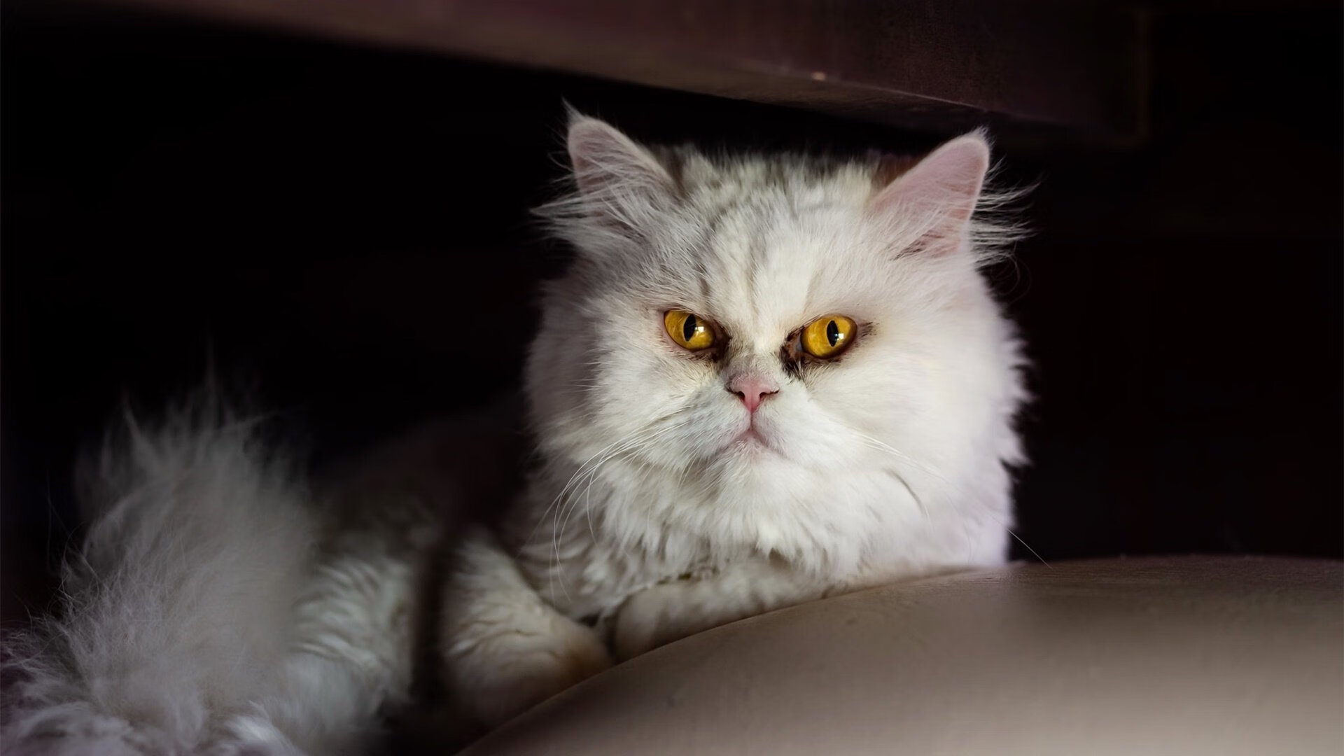 雷鬼与鼓点的沉默对话，当孔德成为赛场唯一的标点符