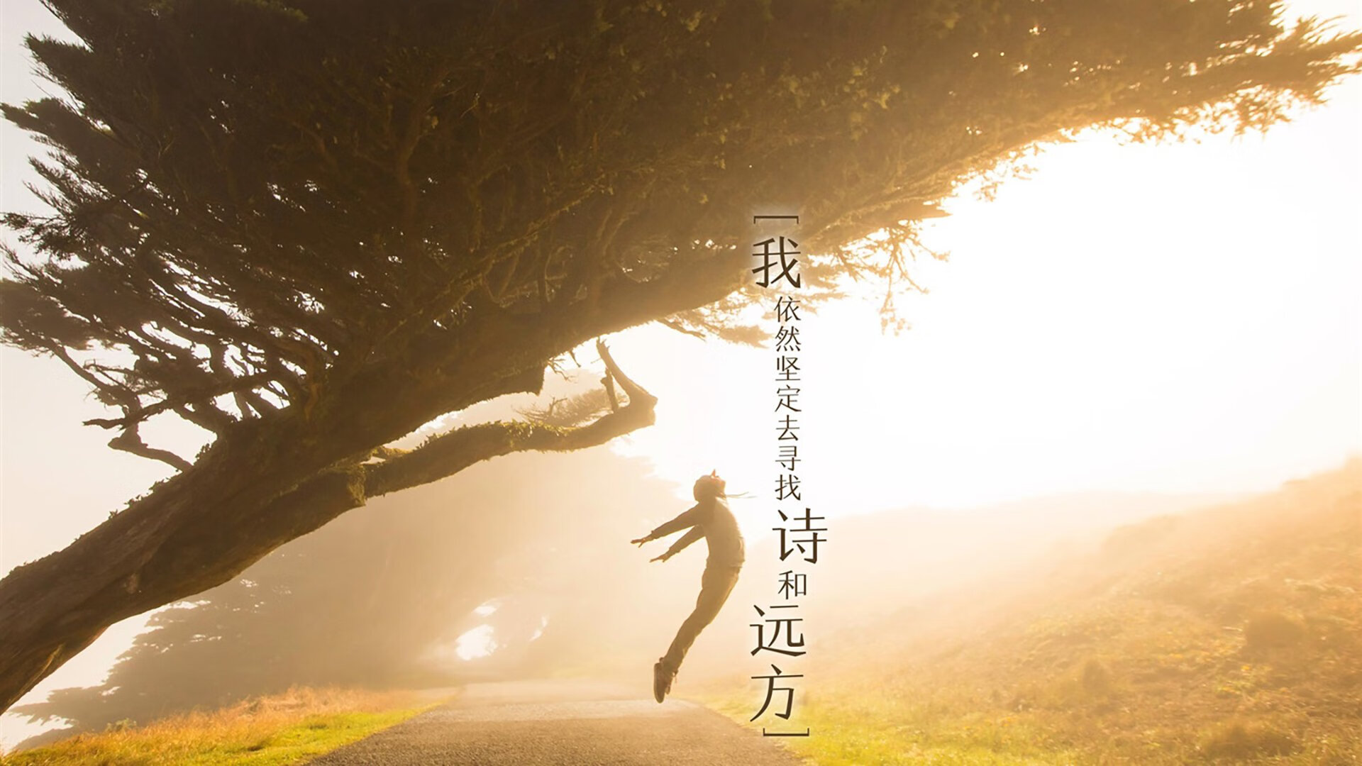 英超闪电照亮NBA赛场，三笘薰点燃狂热季后赛之夜