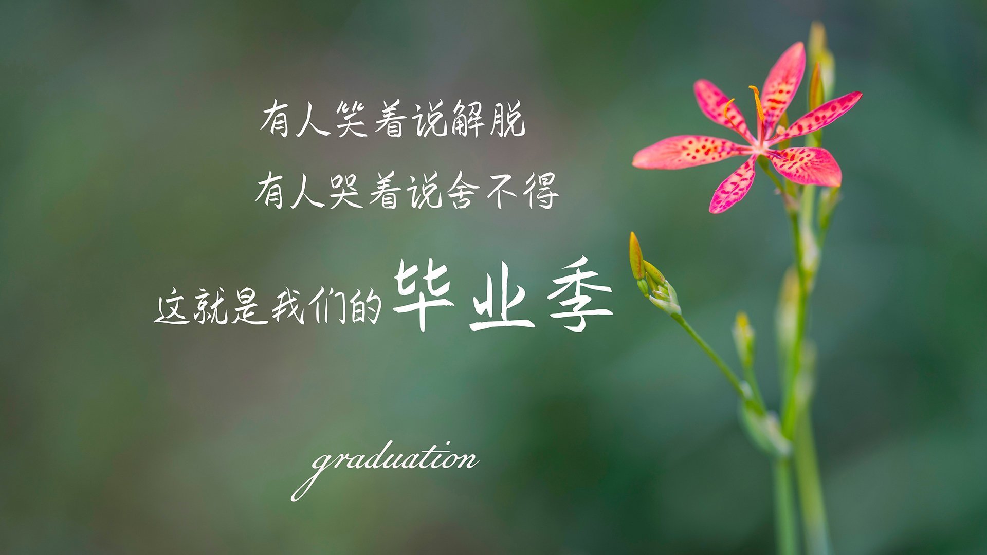 世界杯预选赛决战，托尼的淬火之夜