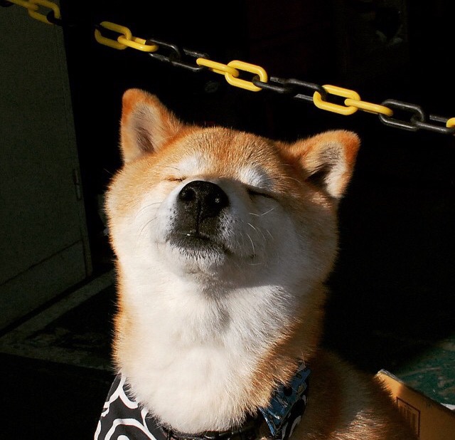 绿茵定律的断层革命，当萨拉赫的永恒飓风撞上牙买加的血色孤勇