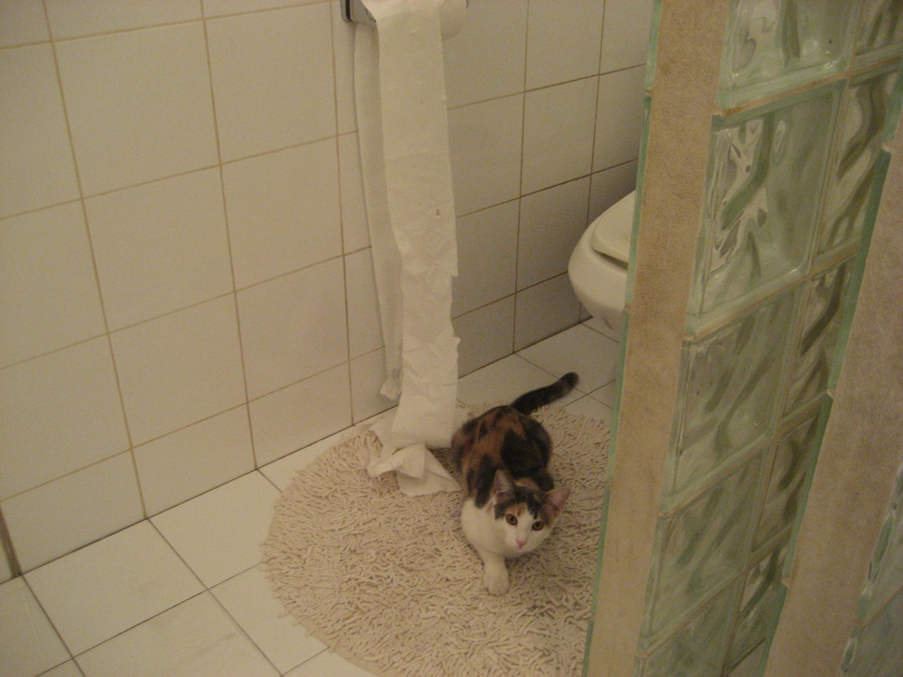 东瀛旋风席卷亚平宁，意甲焦点战见证日本力量，法甲里昂强势表现成映照