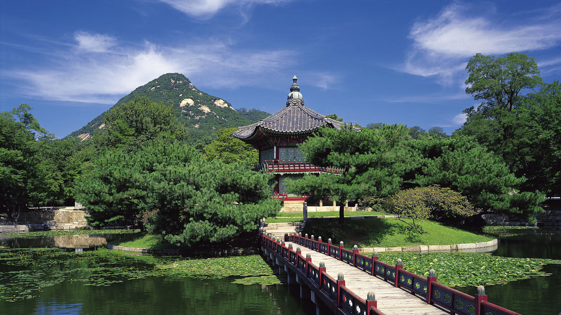 风车在热带风暴中起舞,桑巴之王于绝境处加冕,2026世界杯B组,为何这一夜定义了唯一
