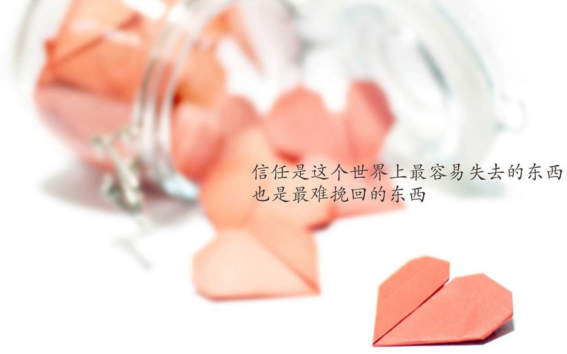 加维的一秒钟,2026世界杯G组,奥地利碾压瑞典的致命一击,以及那唯一的神谕