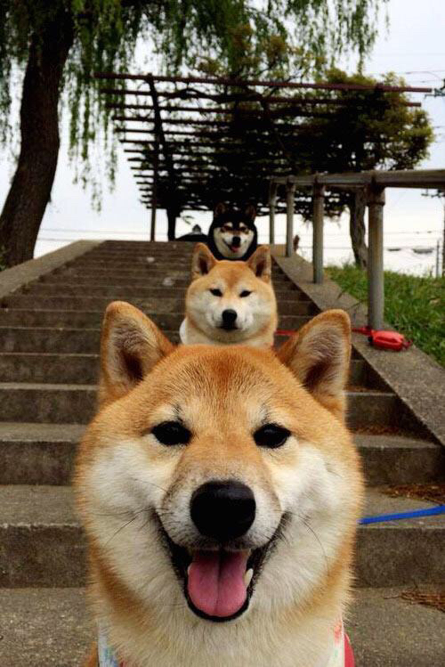 扩展思维