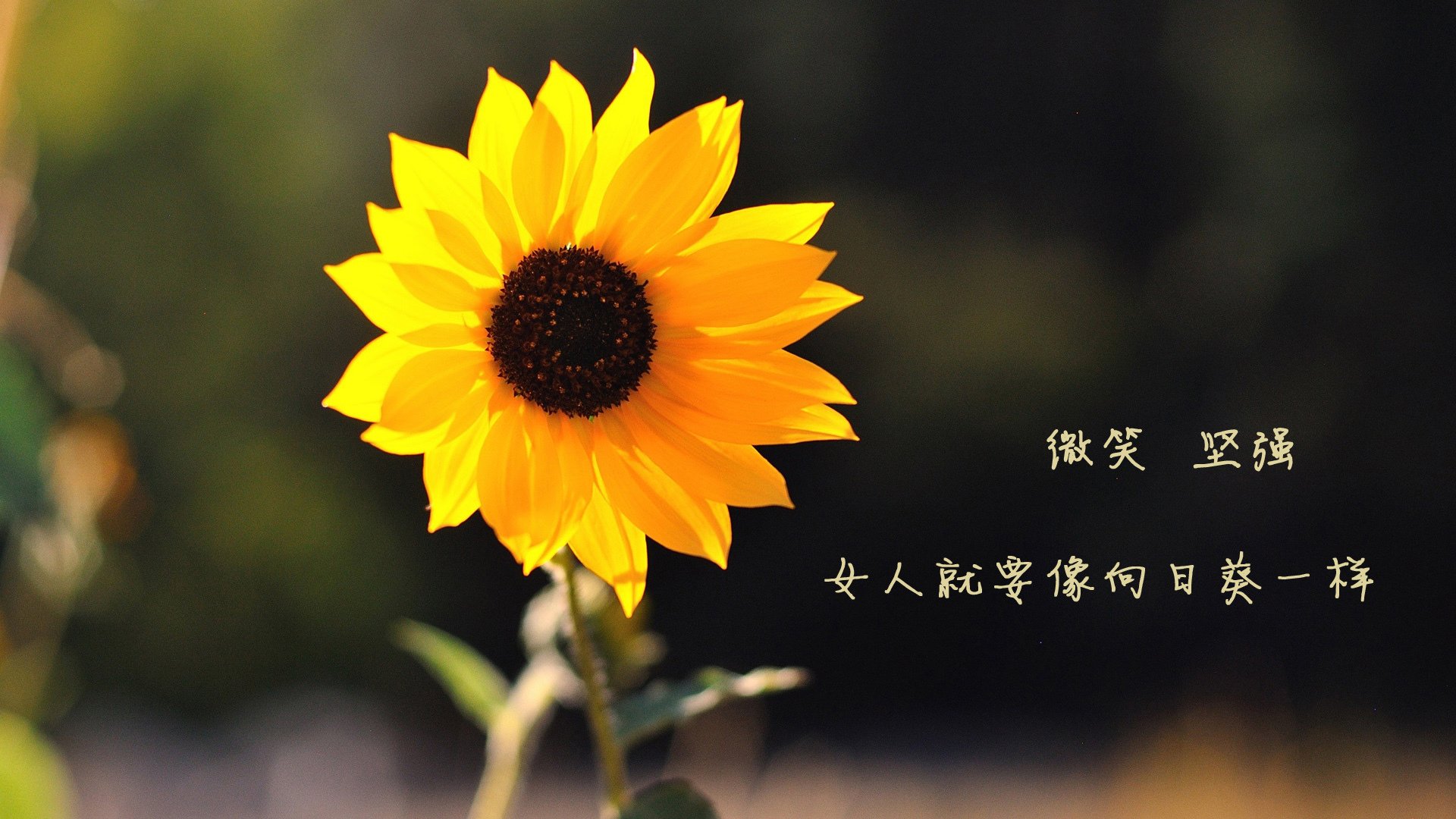 黄昏中的大师课，当格列兹曼用唯一性撕裂比利时防线