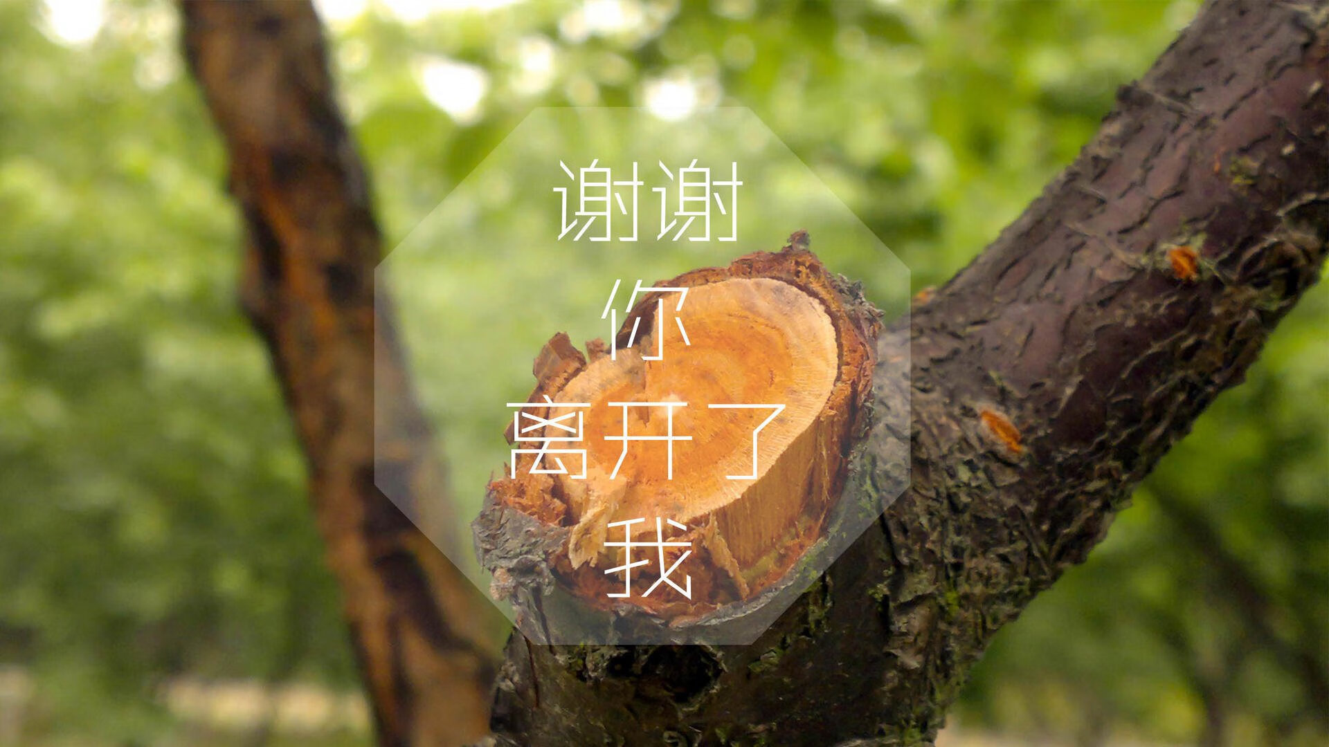 唯一主宰,当南美之蓝统治D组,奥斯梅恩撕开泰国防线