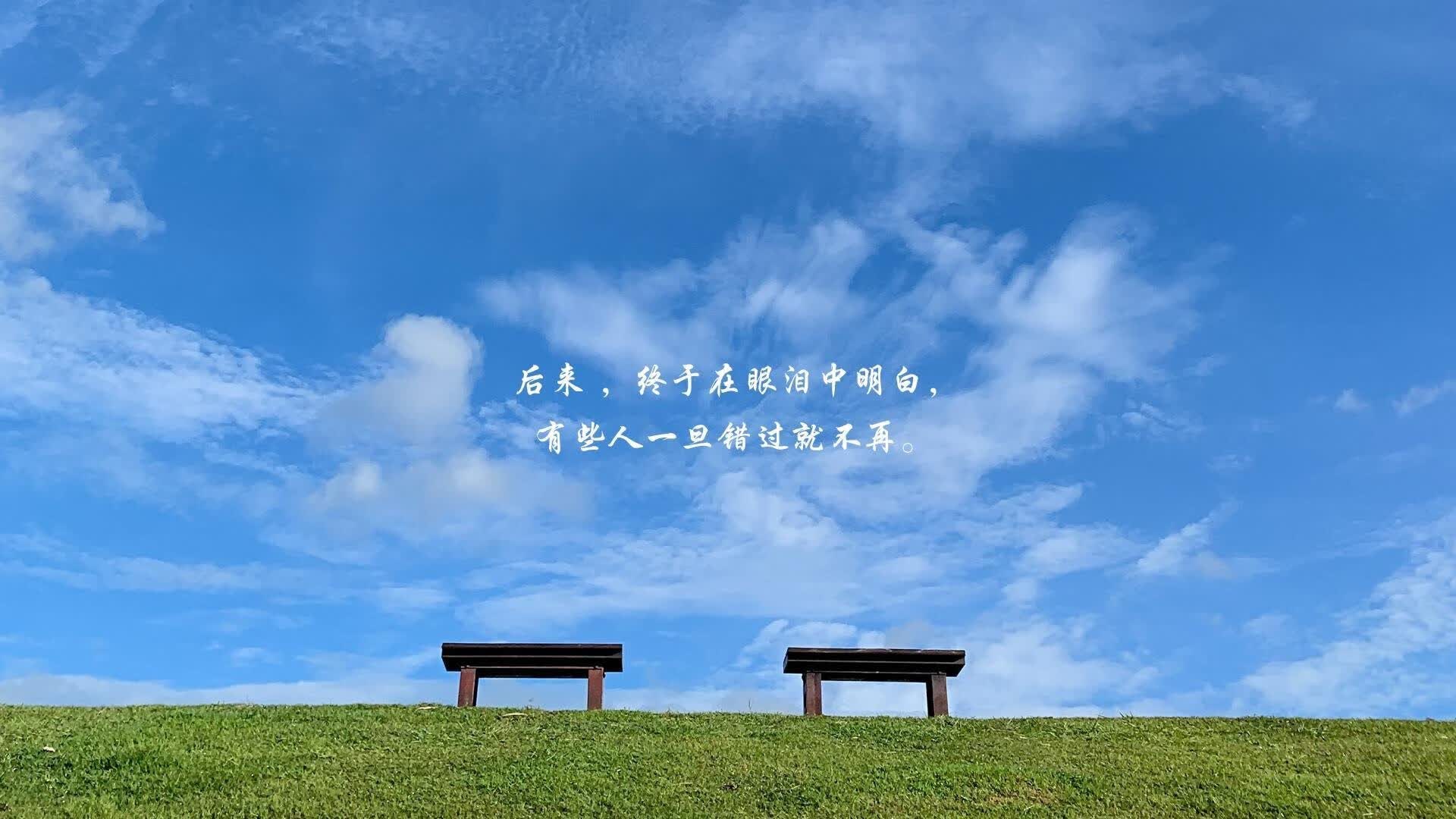 黄昏里的独行客,坎塞洛与一场注定被改写的历史
